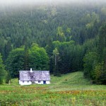 lonelyhouse