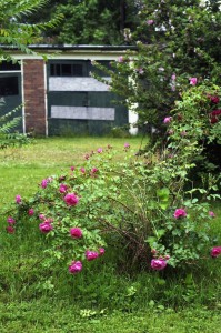 sylvan garden
